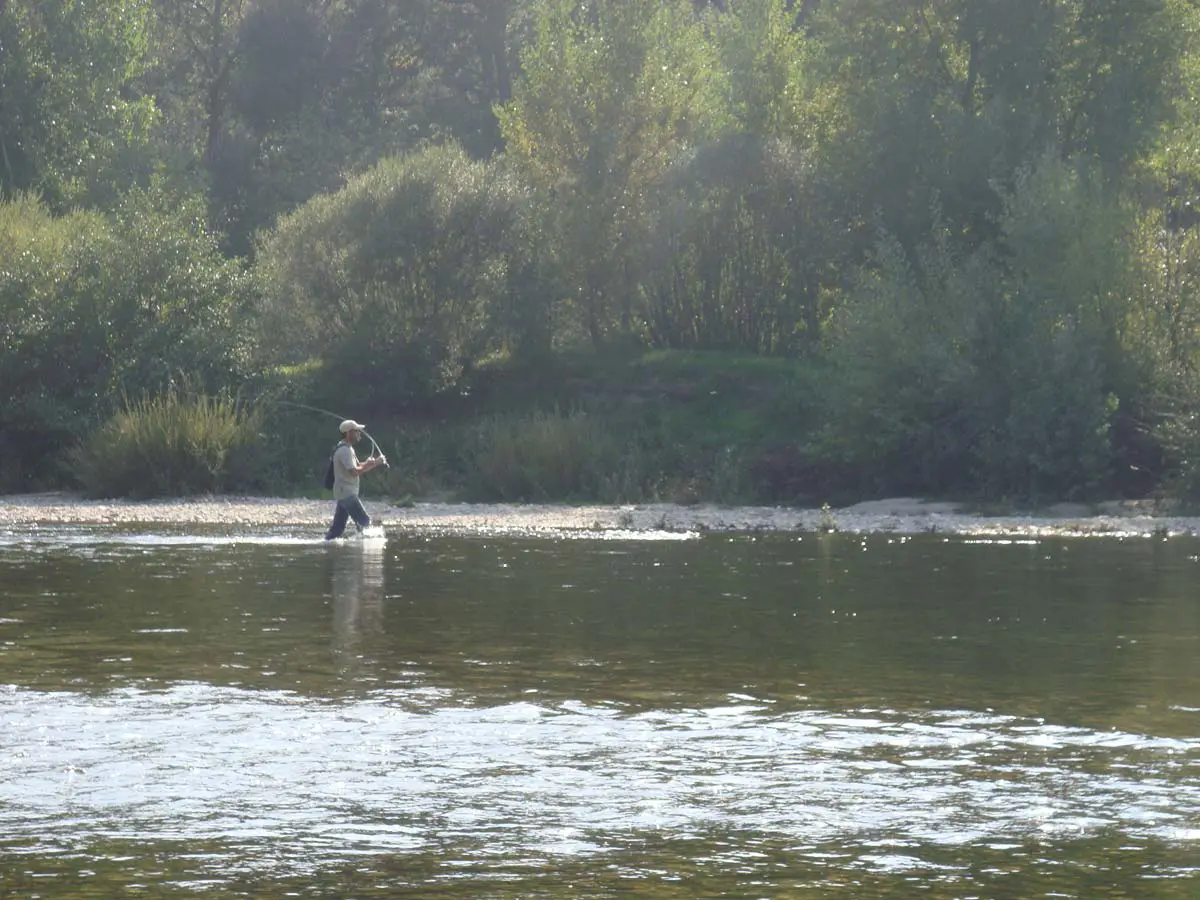 Fishing is conditioned by the environmental quality and the healthiness of the riparian forests