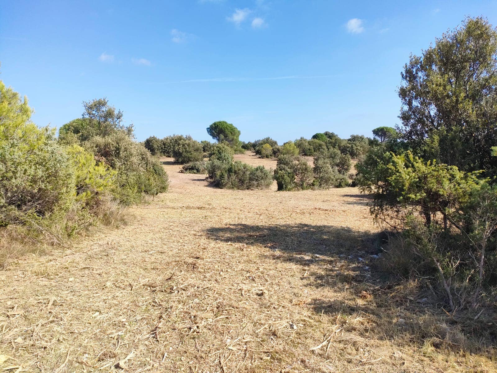 Première session de travaux d'ouverture