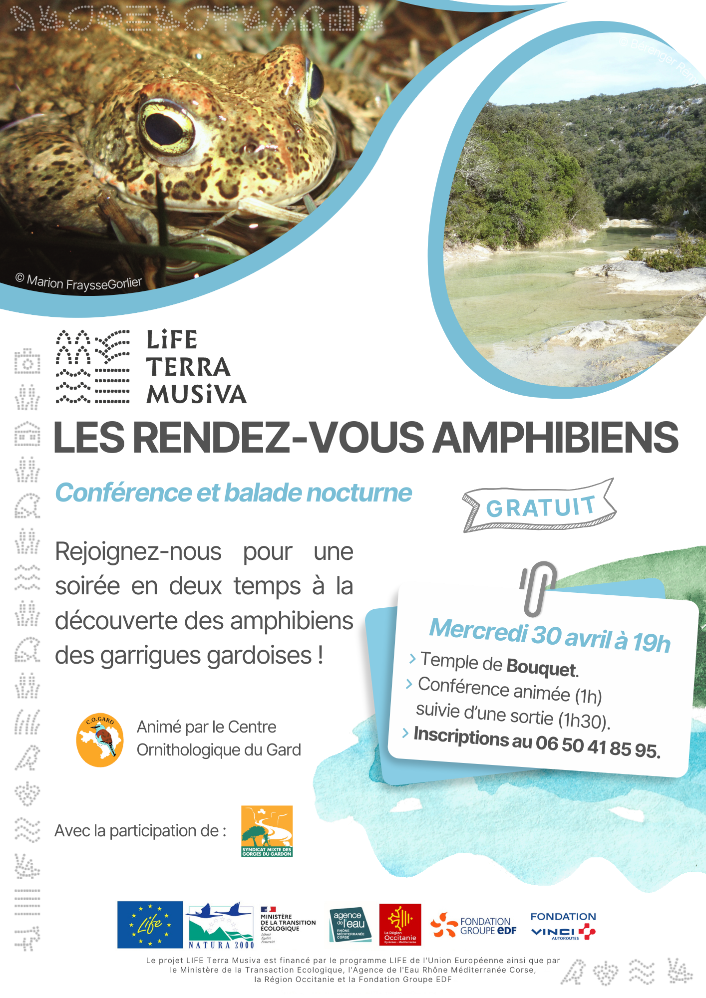 Les rendez-vous amphibiens sont lancés !
