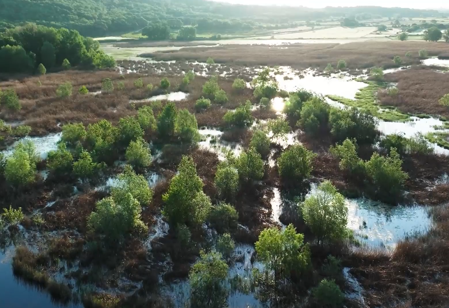 Echantillon d'actions conduites en 2024