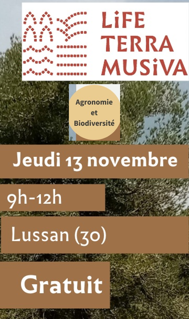 Intitulé par défaut