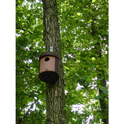 Participez à un chantier nature pour la biodiversité !