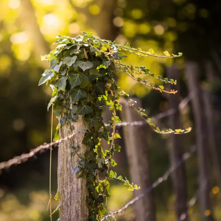 Envie de prendre soin de votre Nature ? 