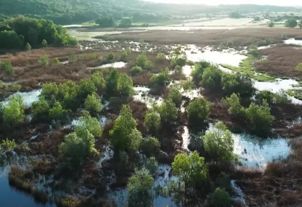 Bref aper&ccedil;u des actions conduites en 2024