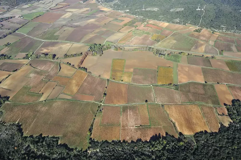 Mosaïque agricole