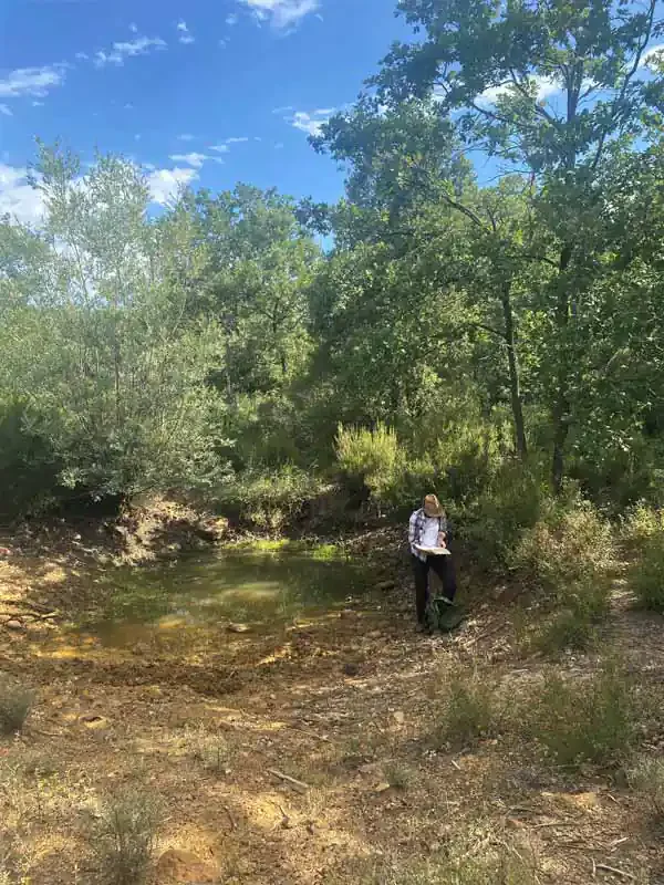 Mediterranean temporary ponds